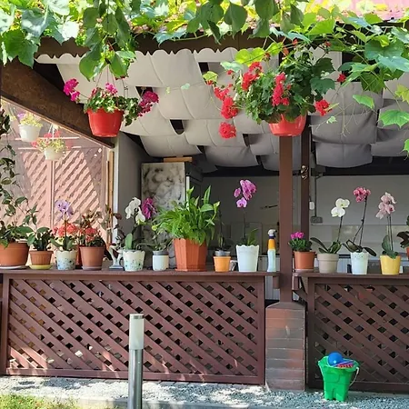 Casa Sunshine-2